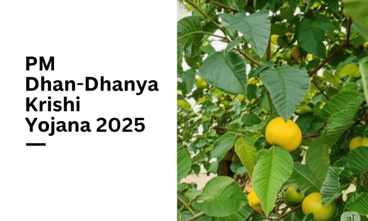 PM Dhan-Dhanya Krishi Yojana 2025